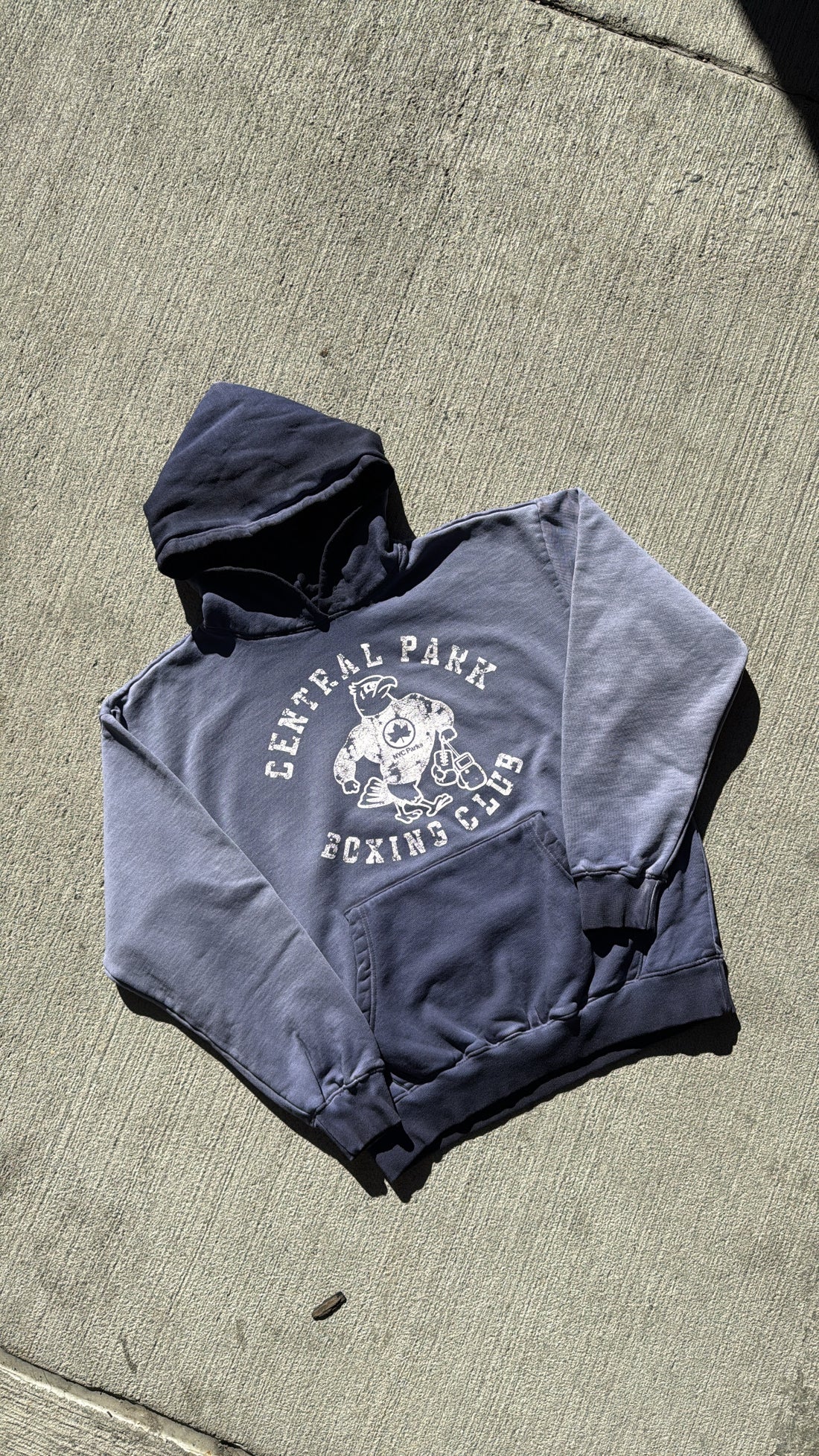AST Central Park Boxing Club Capsule Purple Wash Hoodie