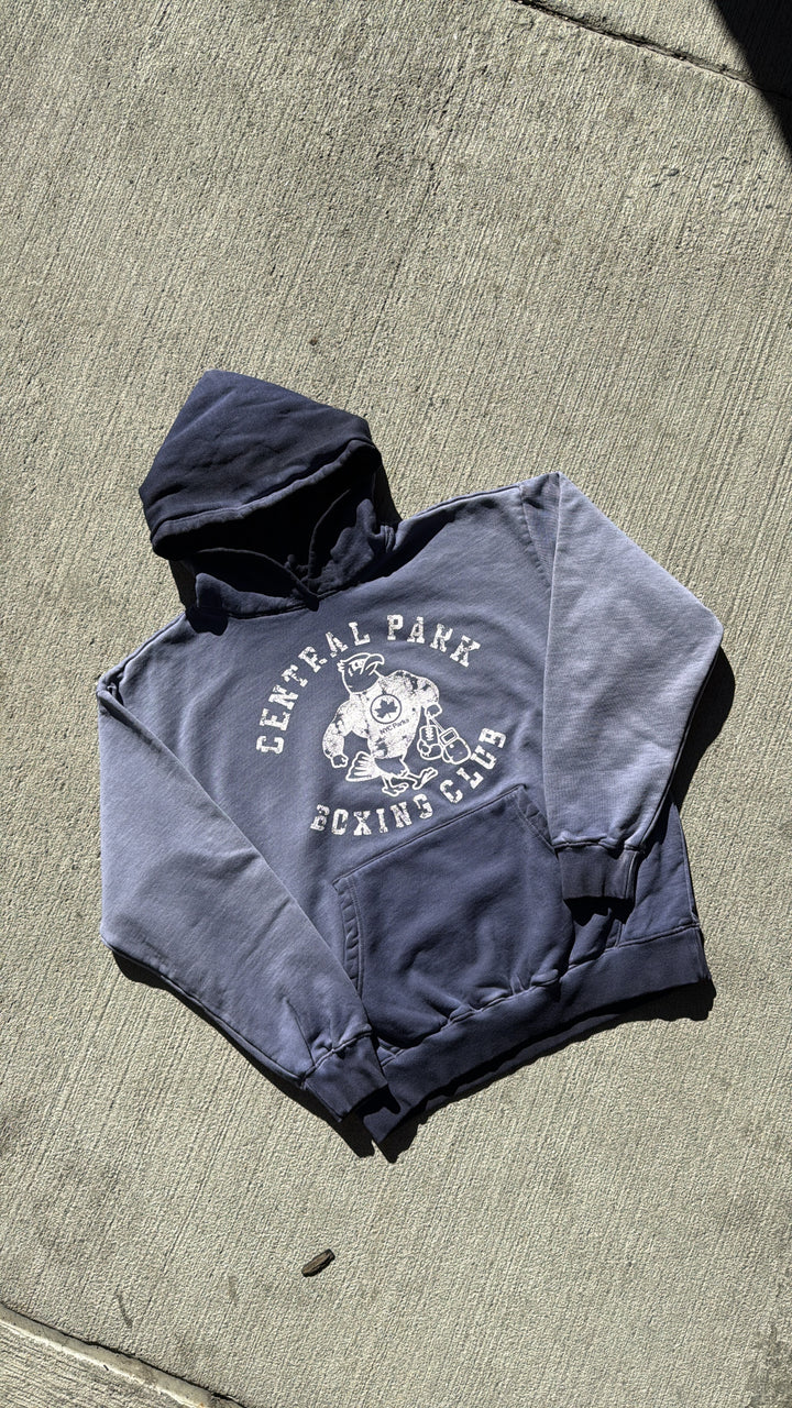 AST Central Park Boxing Club Capsule Purple Wash Hoodie