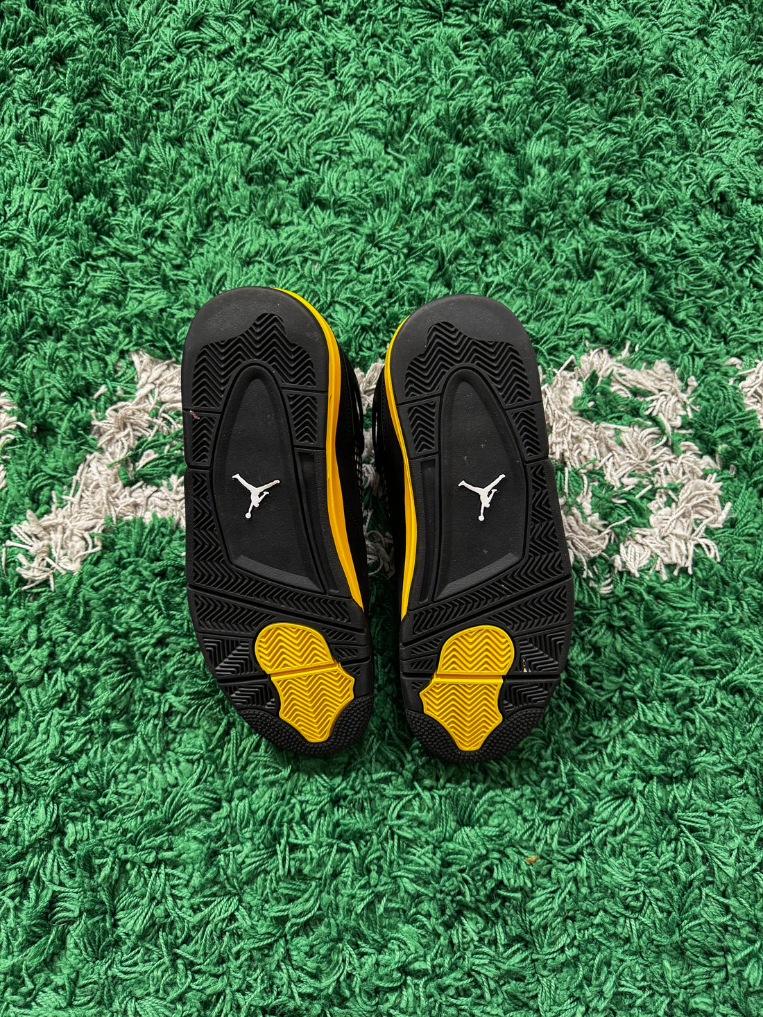 Jordan 4 Thunder (NDS)