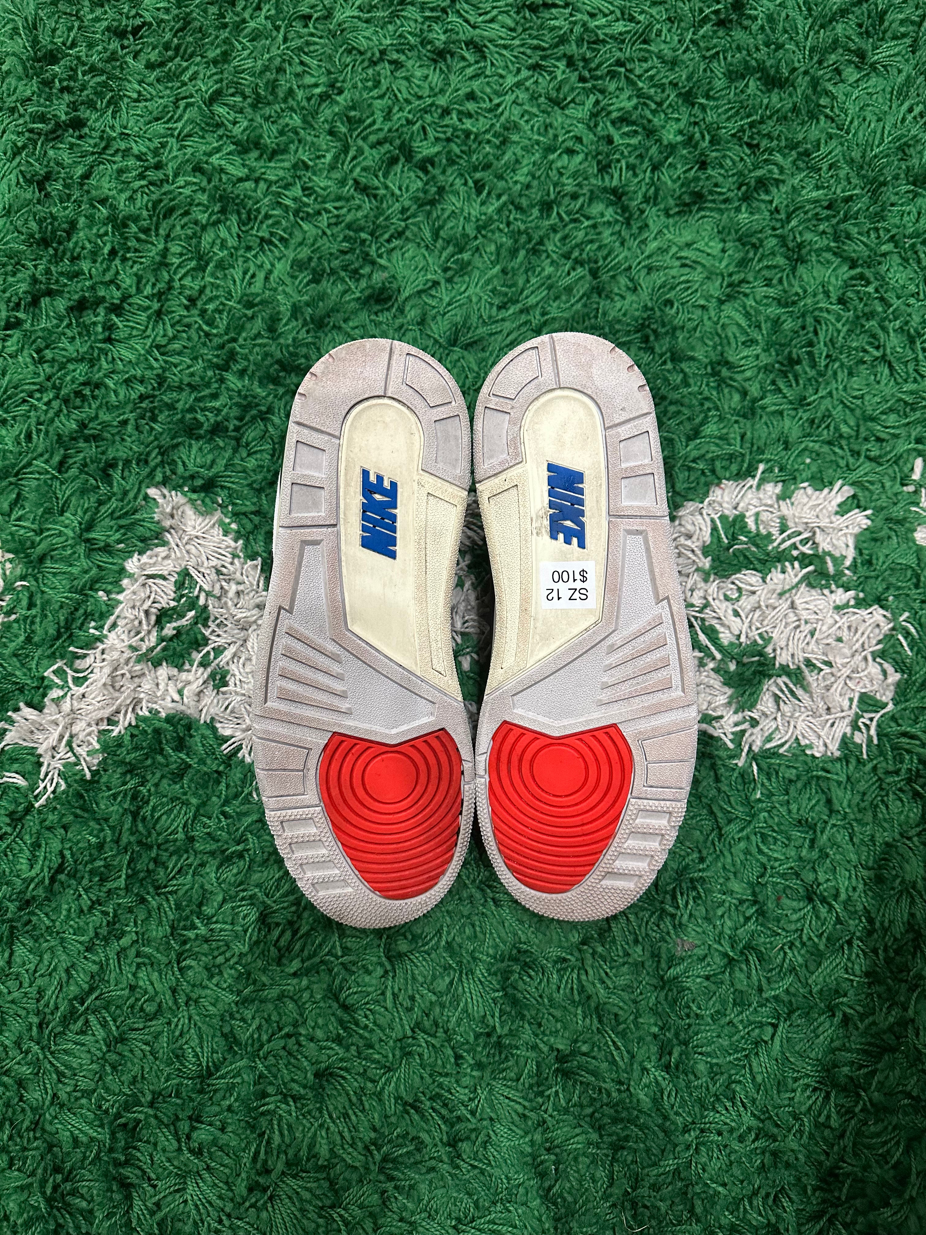 Jordan 3 Rare Air (VNDS)