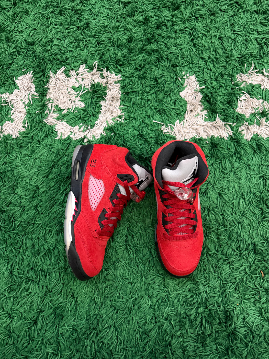 Jordan 5 Toro Bravo (VNDS)