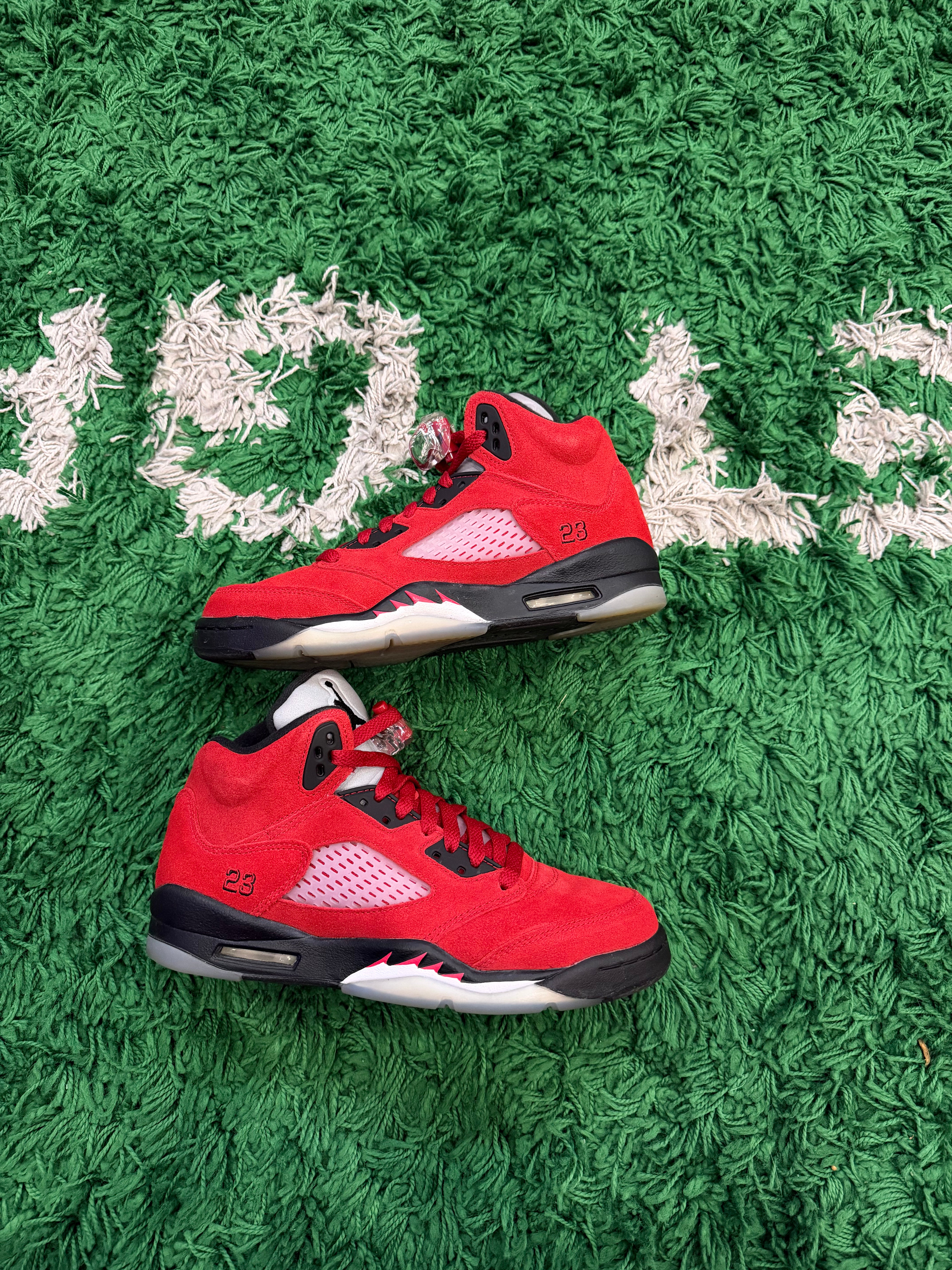 Jordan 5 Toro Bravo (VNDS)