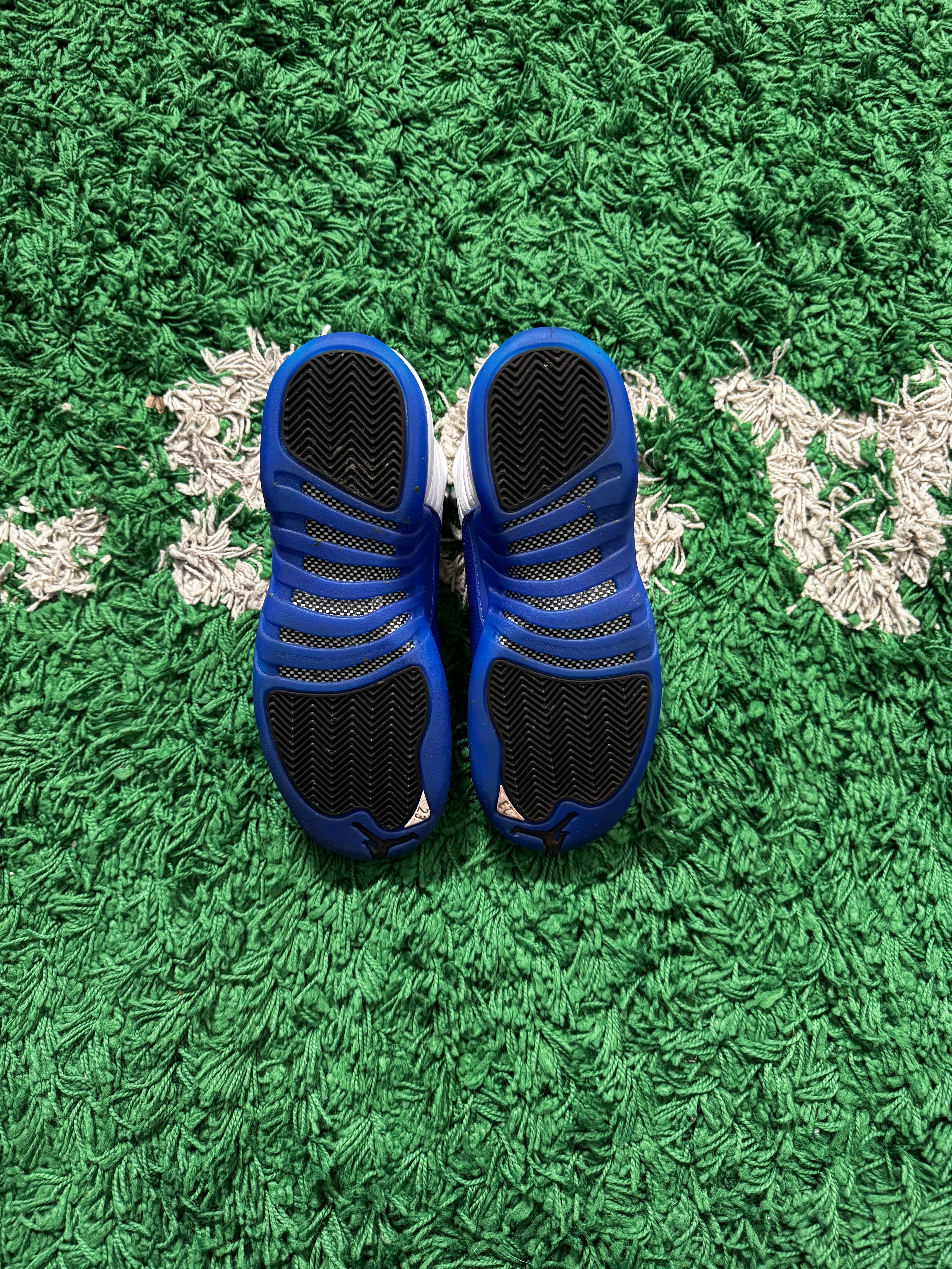 Jordan 12 Blueberry (VNDS)