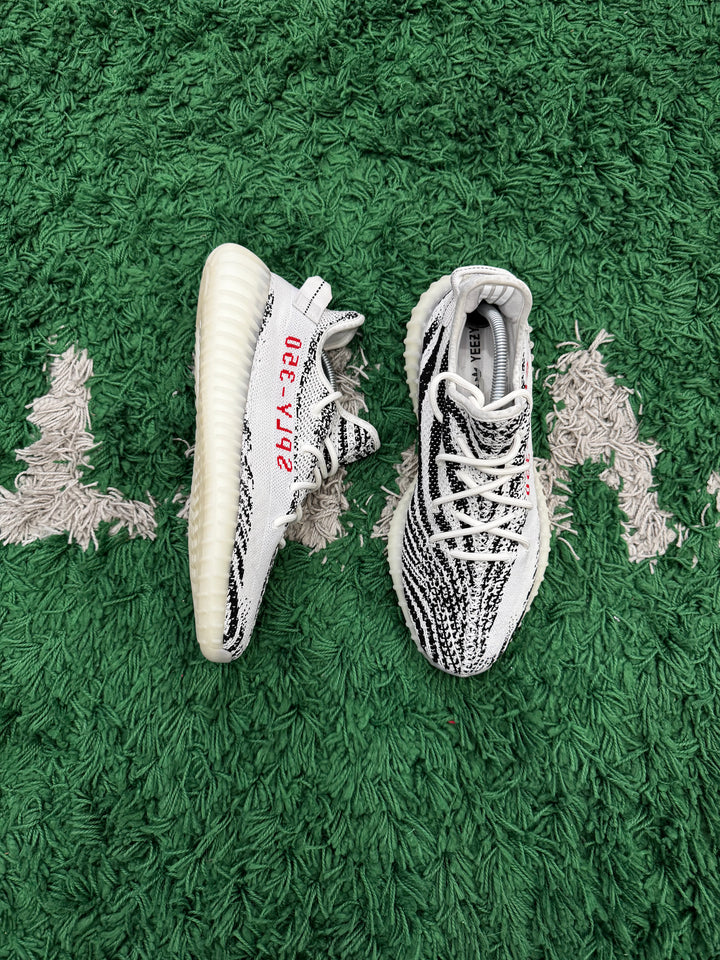 Yeezy 350 Zebra (Tried on)