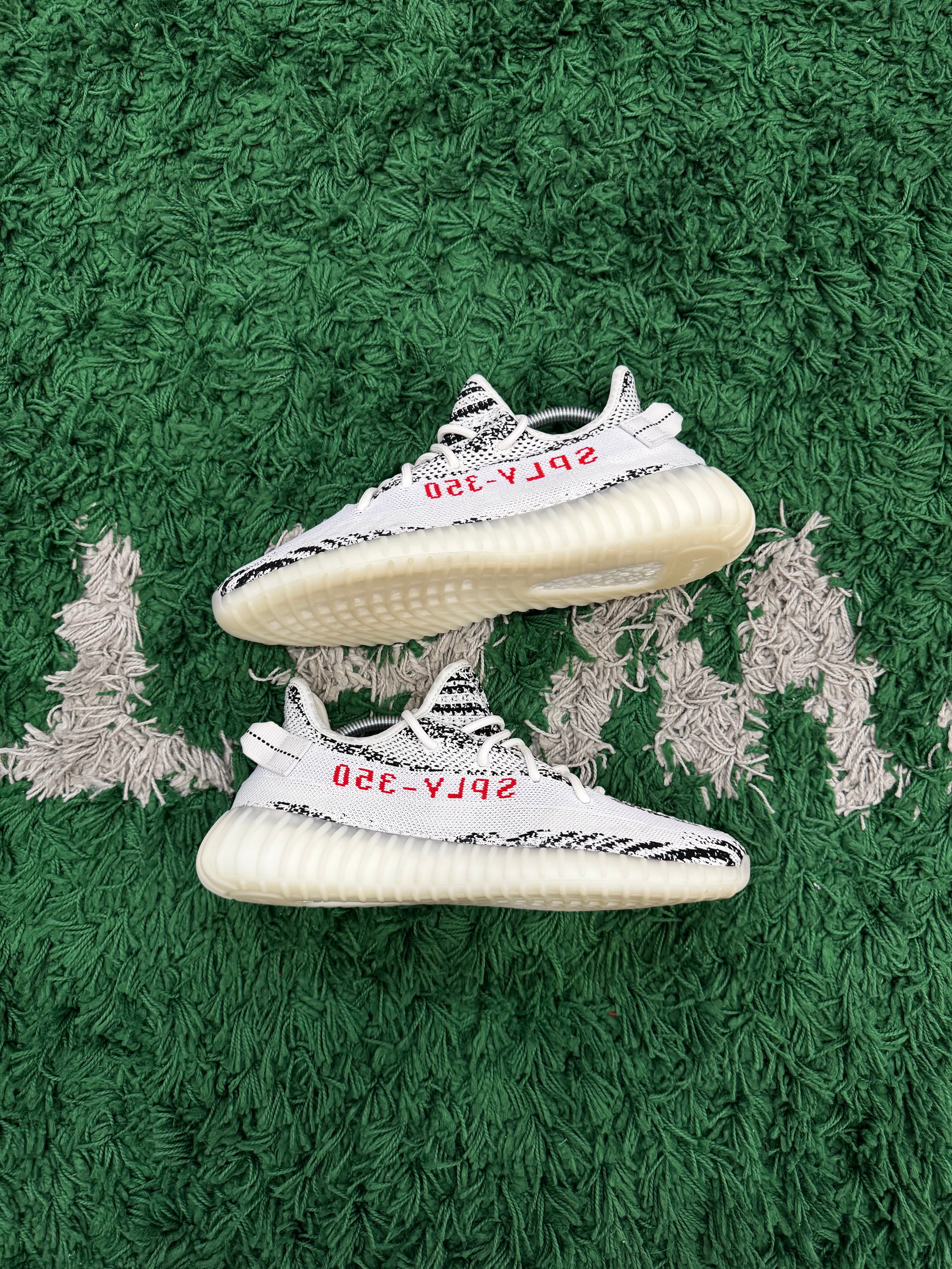 Yeezy 350 Zebra (Tried on)