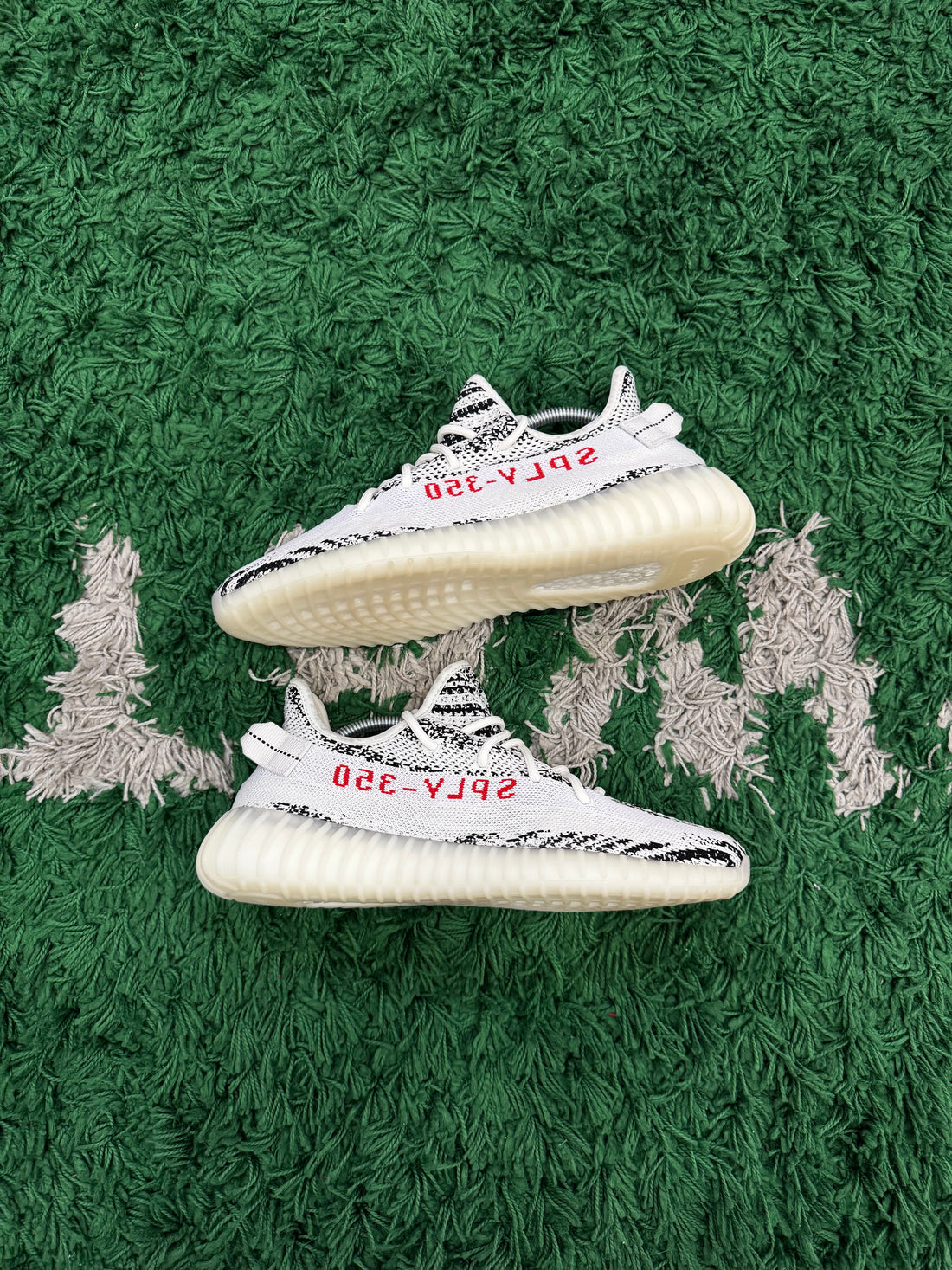 Yeezy 350 Zebra (Tried on)