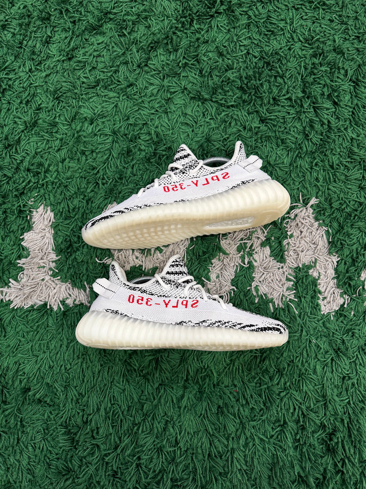 Yeezy 350 Zebra (Tried on)