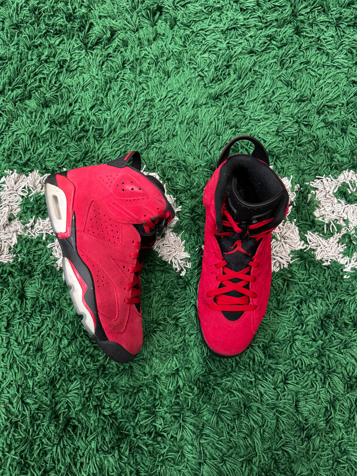 Jordan 6 Toro Bravo (Preowned)