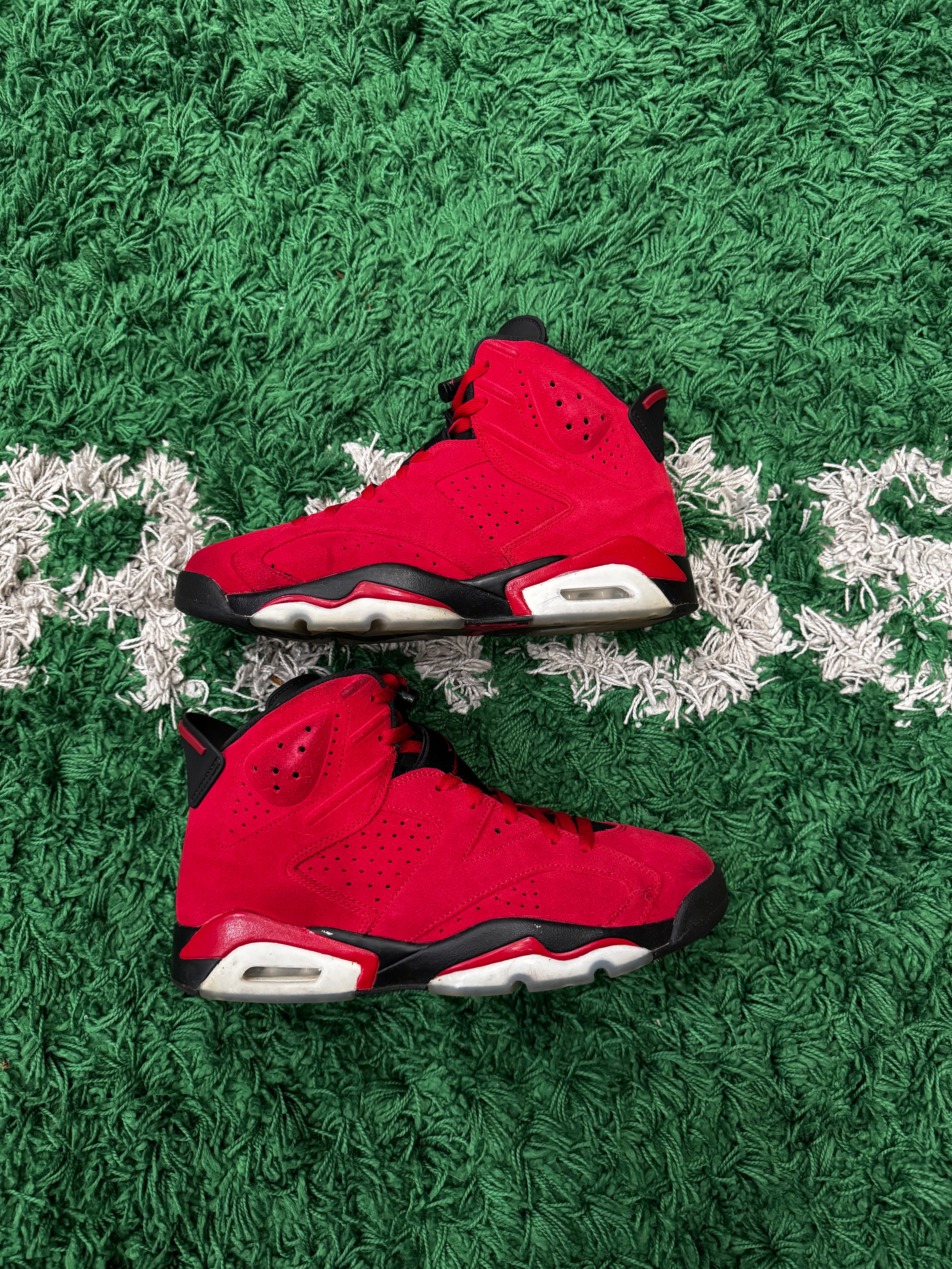 Jordan 6 Toro Bravo (Preowned)