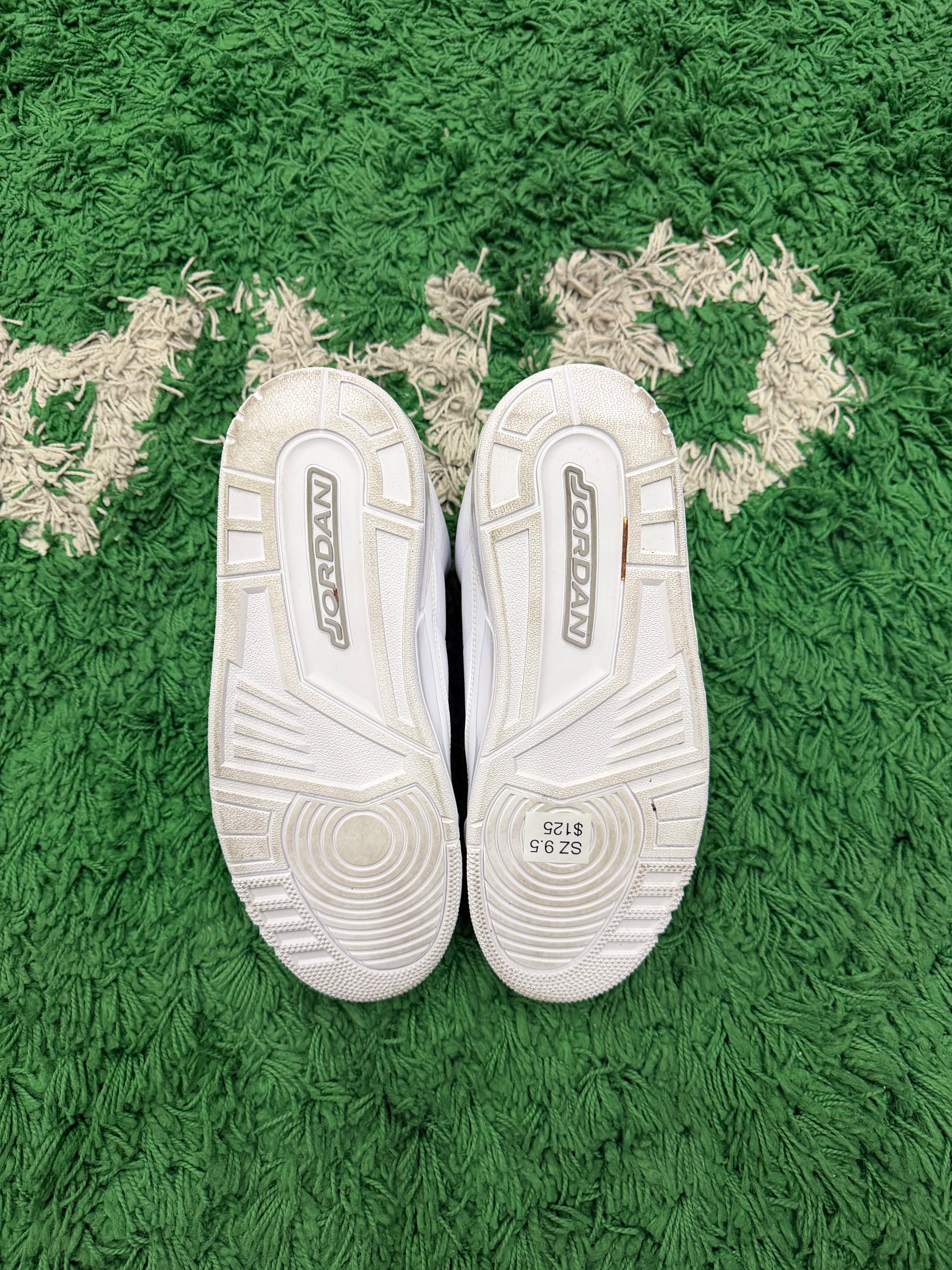 Jordan 3 Pure Money (VNDS)