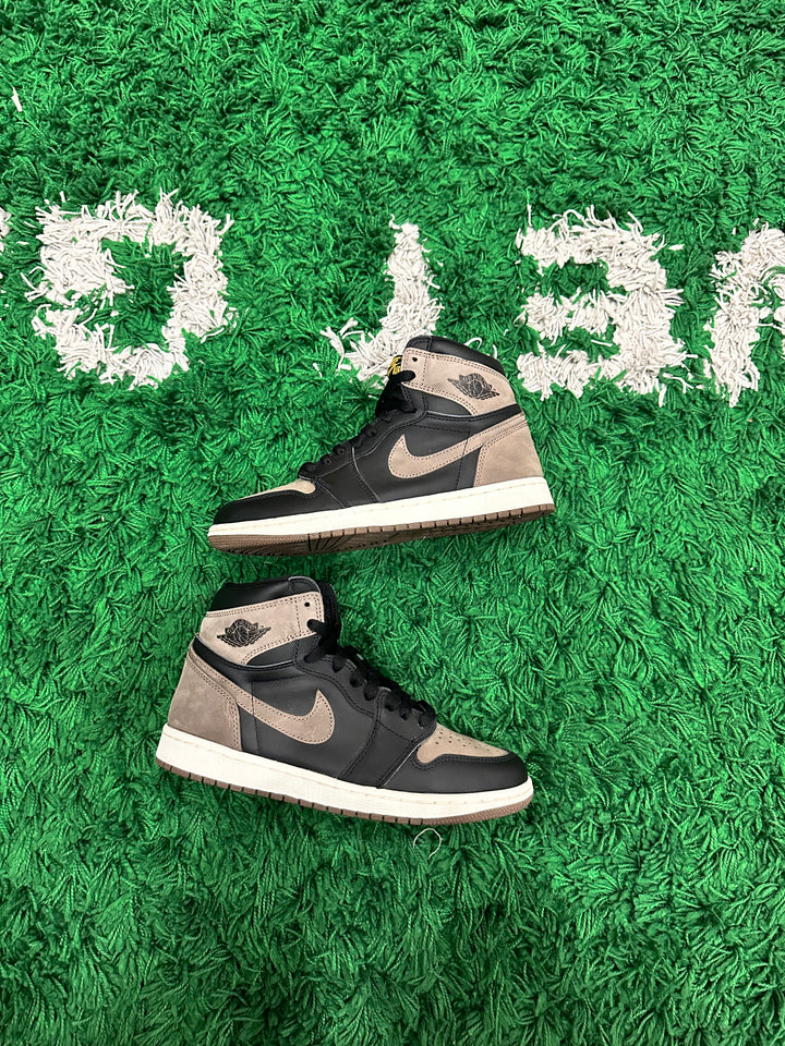 Jordan 1 Palomino (VNDS)