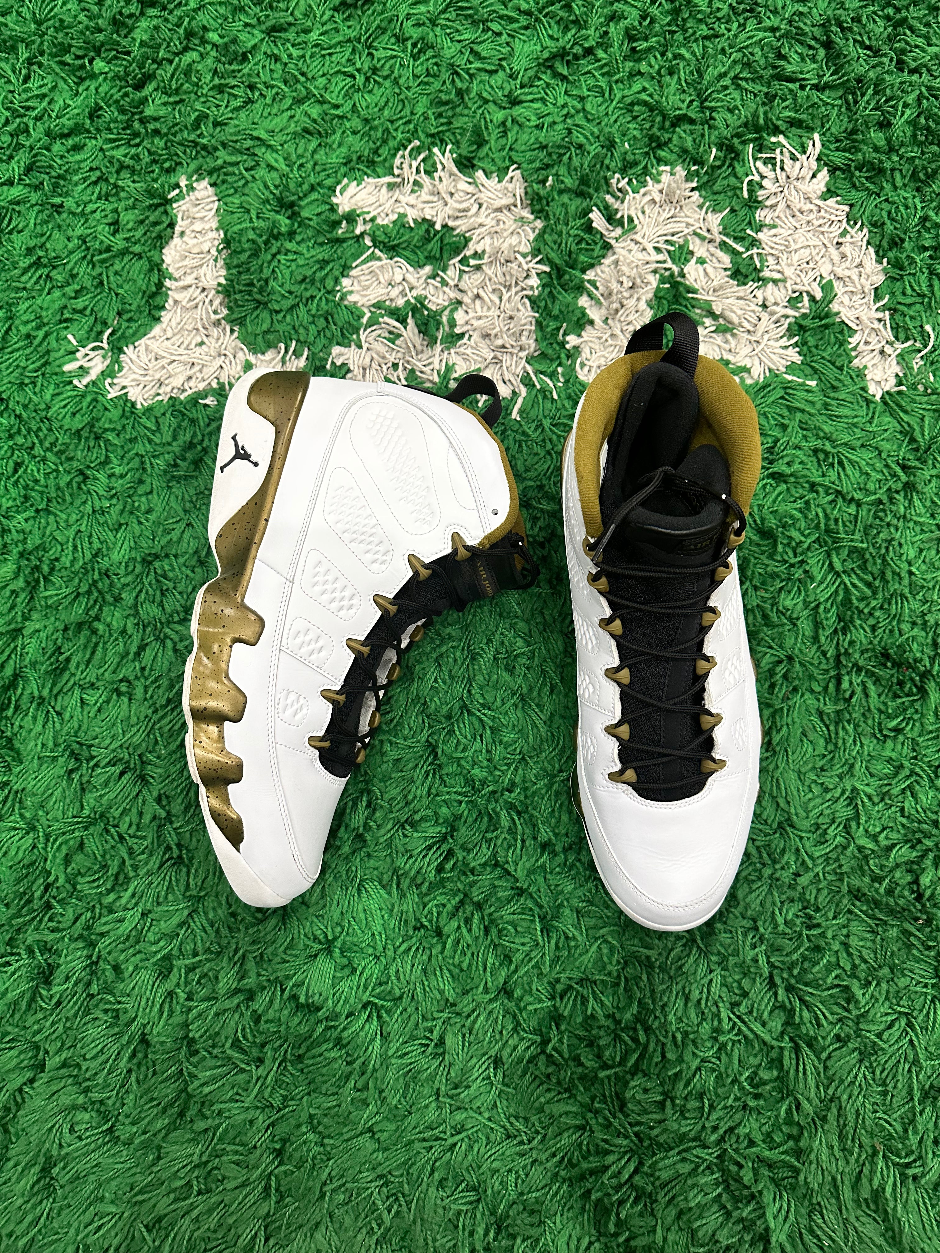 Jordan 9 Statue (VNDS)