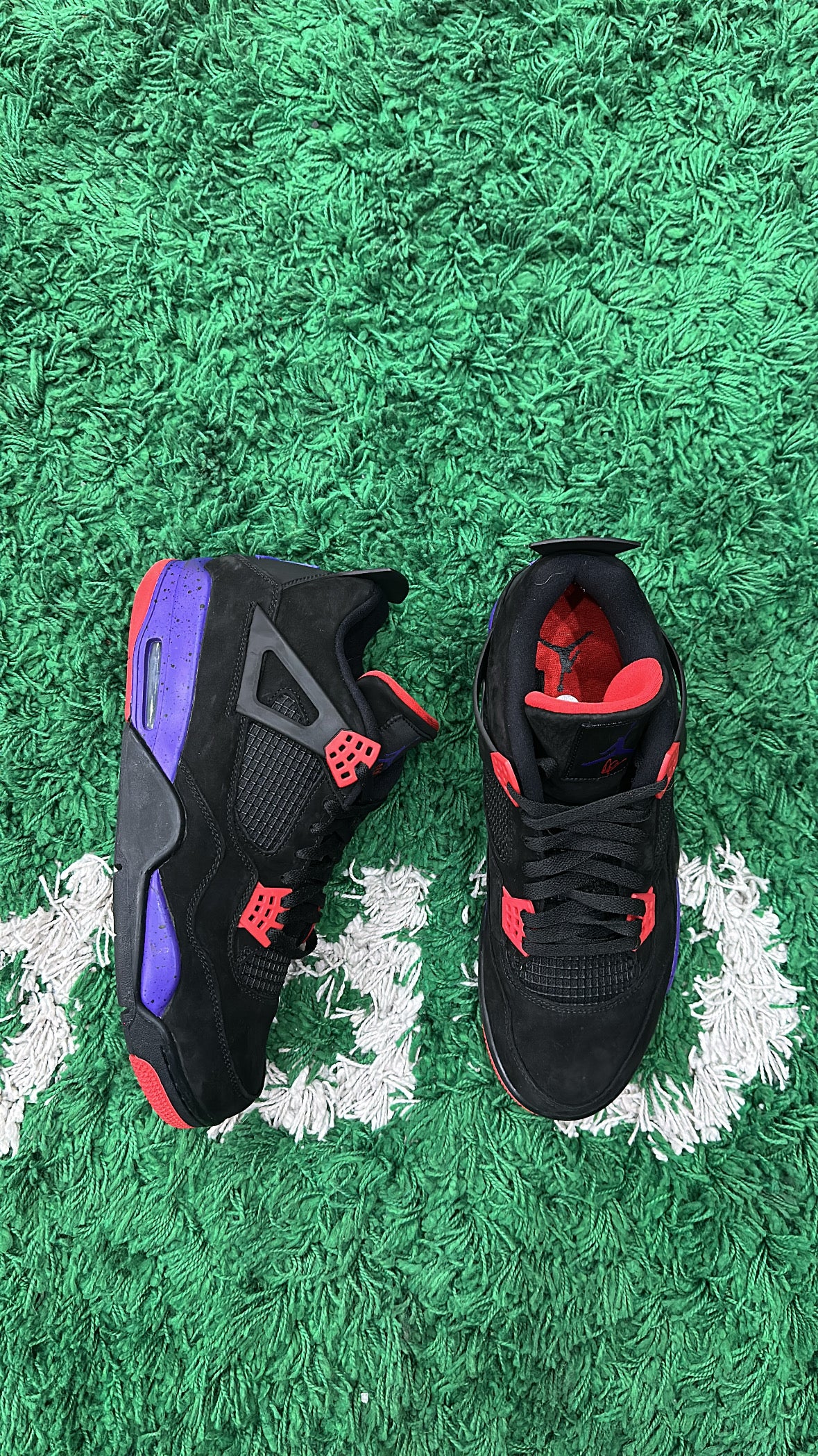 Jordan 4 Raptors (VNDS)