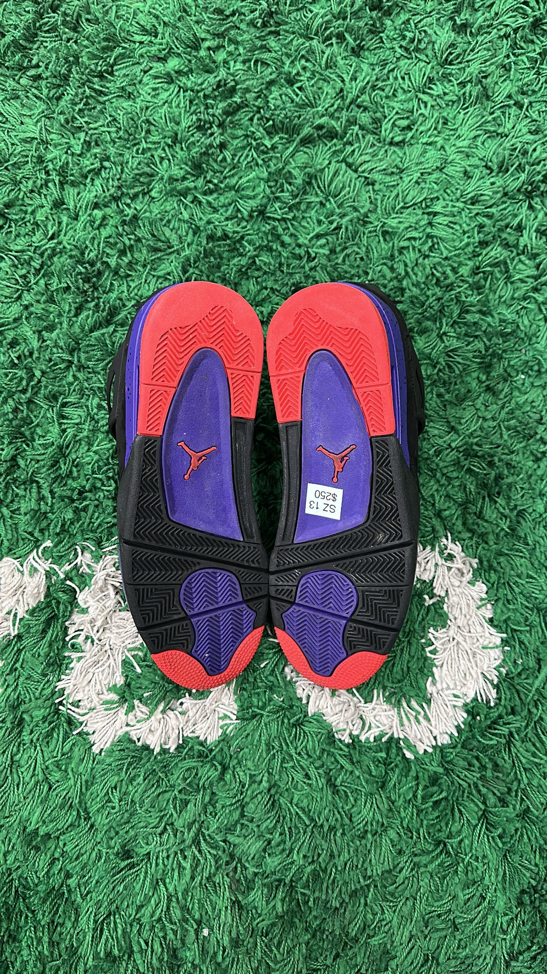 Jordan 4 Raptors (VNDS)