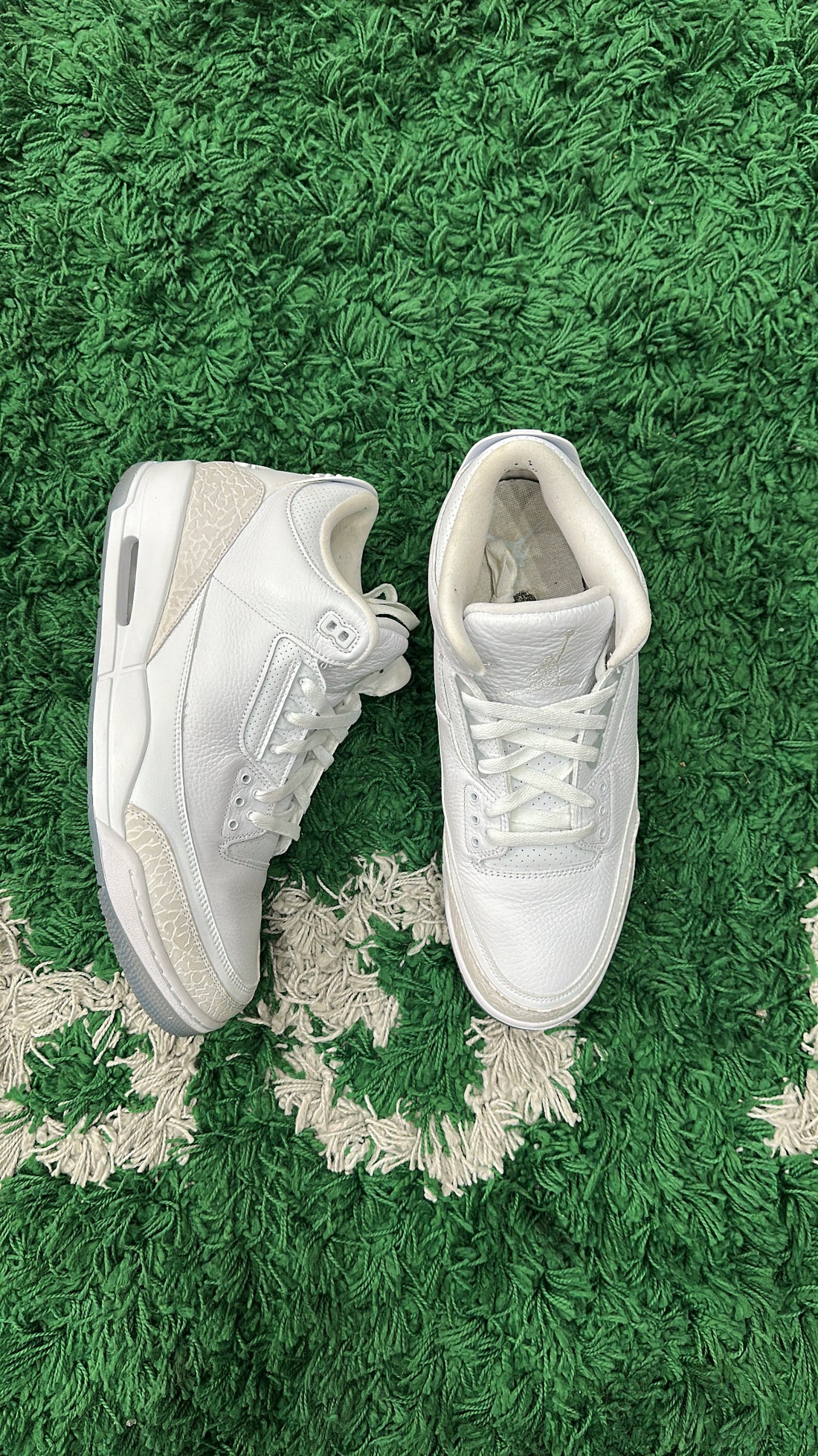 Jordan 3 Anniversary (VNDS)