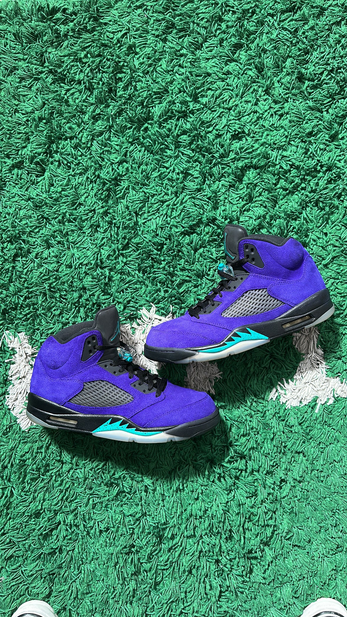 Jordan 5 Alternate Grape (NDS)