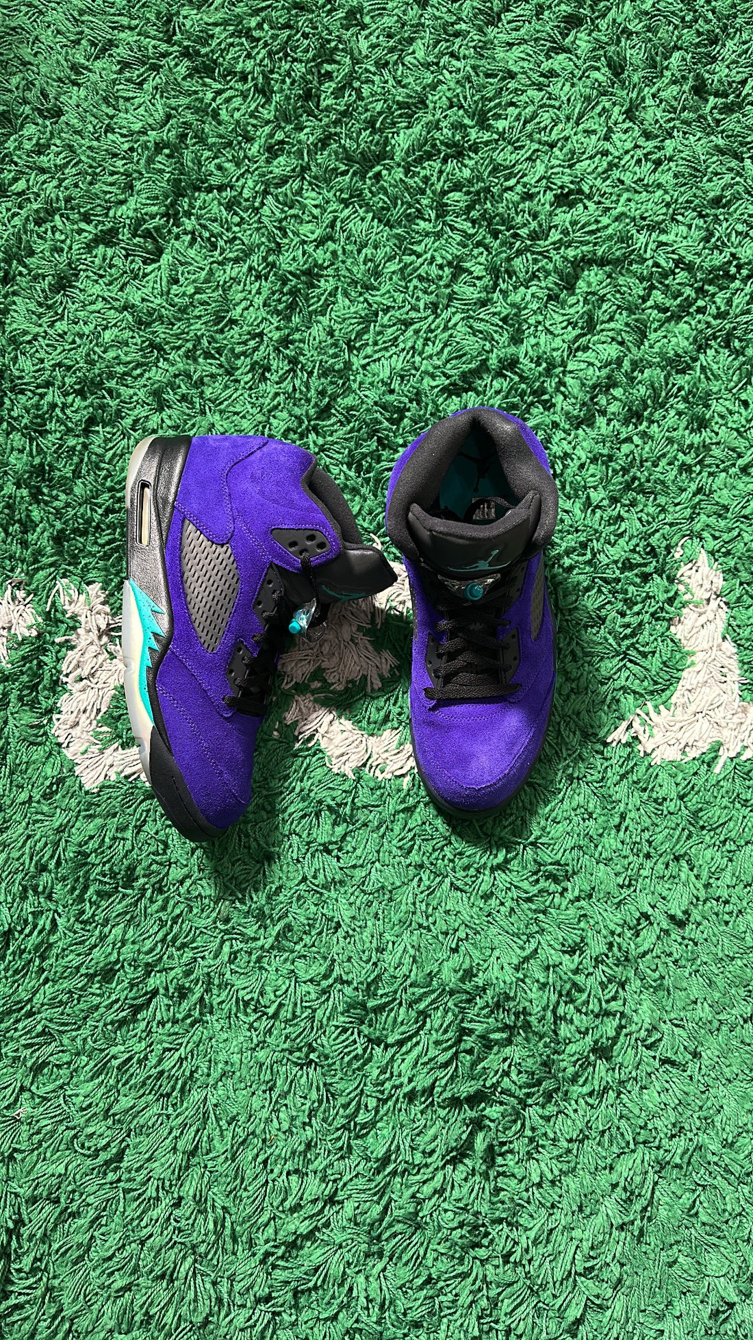 Jordan 5 Alternate Grape (NDS)
