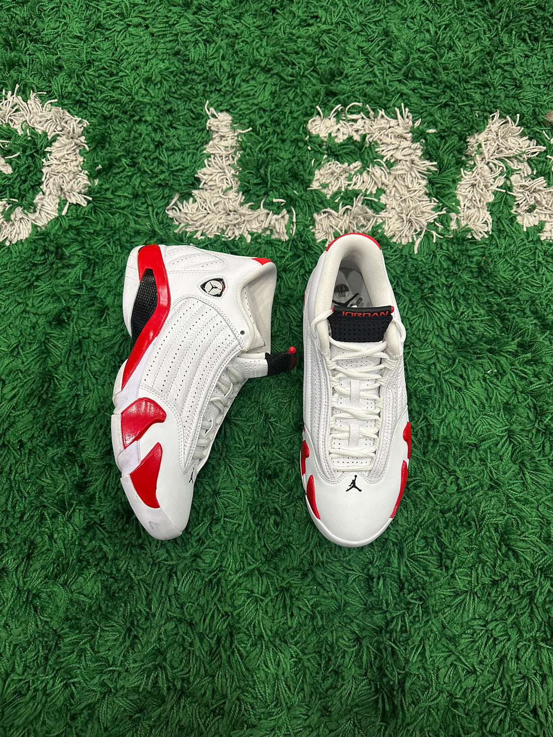 Jordan 14 Rip Hamilton (VNDS)