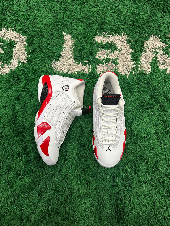 Jordan 14 Rip Hamilton (VNDS)