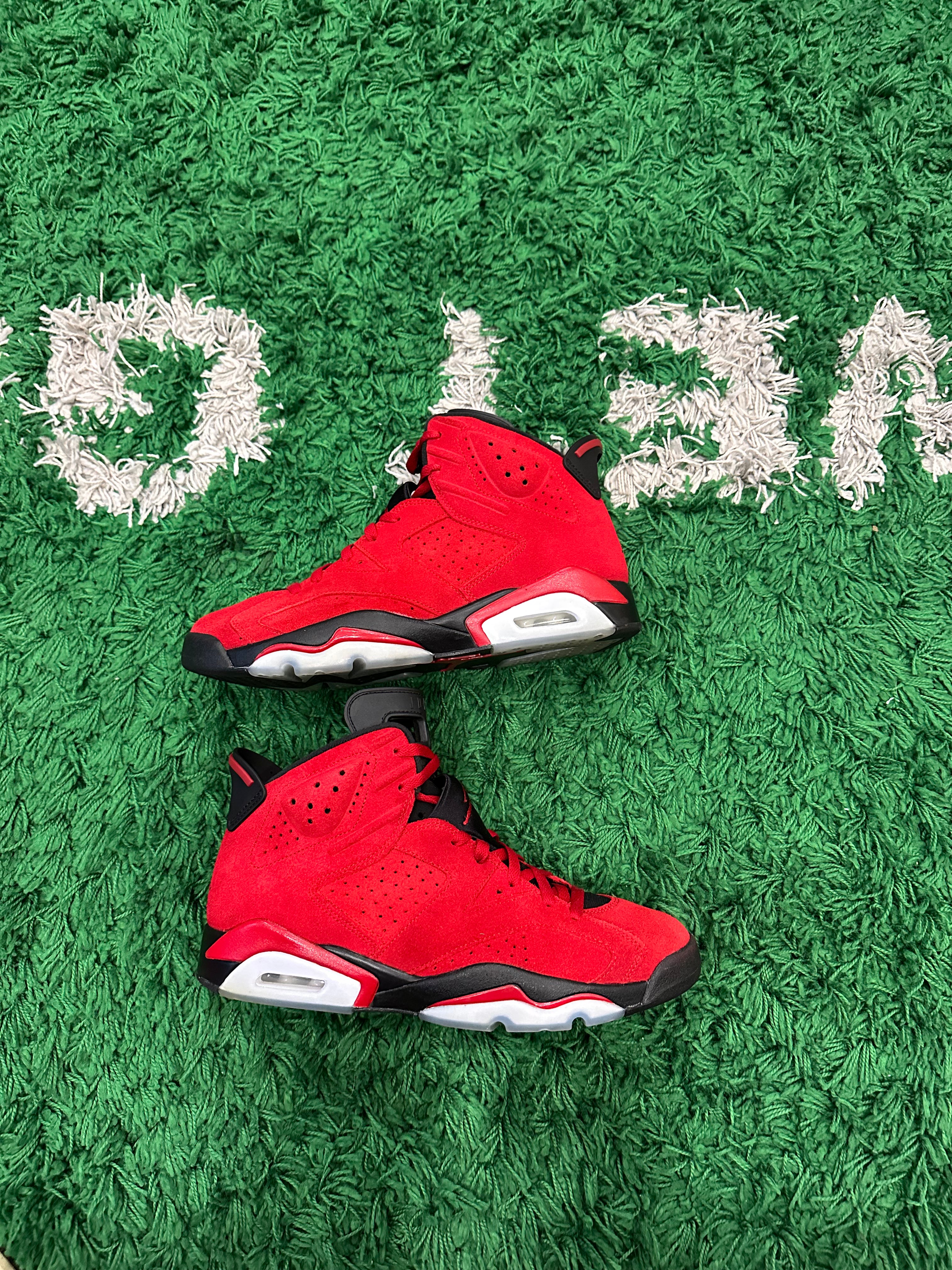 Jordan 6 Toro (VNDS)