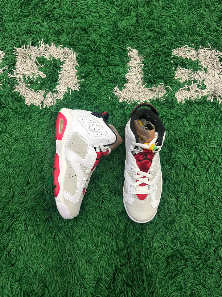 Jordan 6 Hare (VNDS)