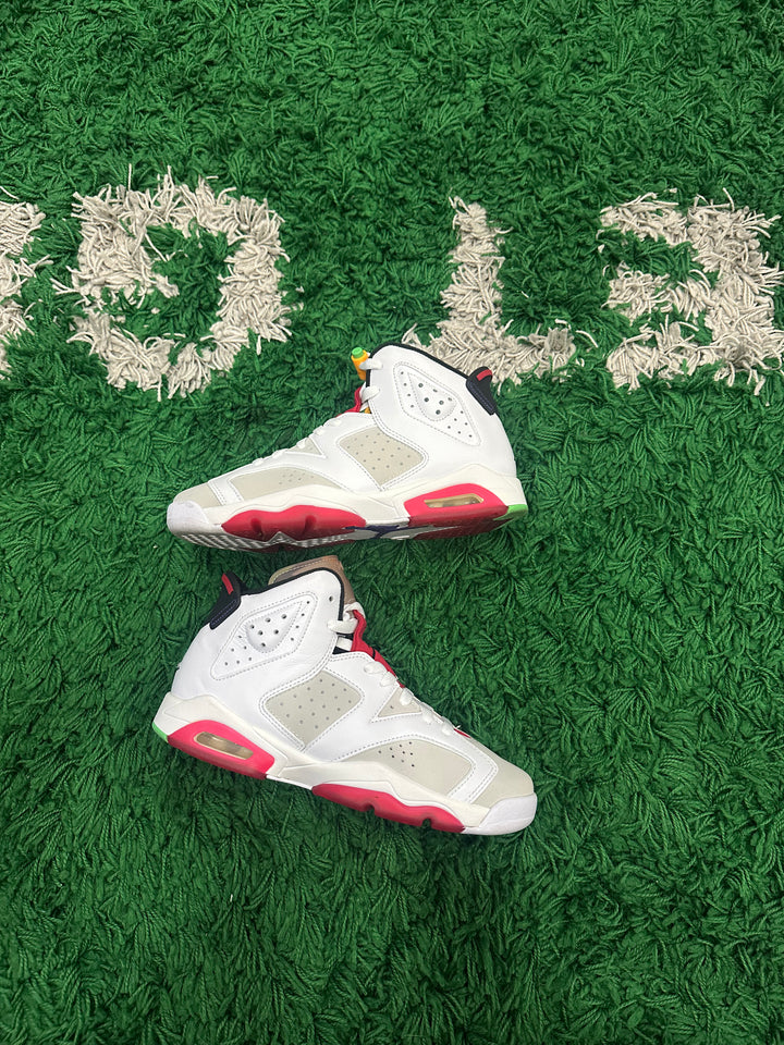 Jordan 6 Hare (VNDS)
