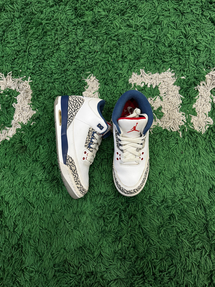 Jordan 3 True Blue (NDS)